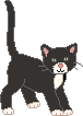 Miss Kitty's Cat Humor Pages